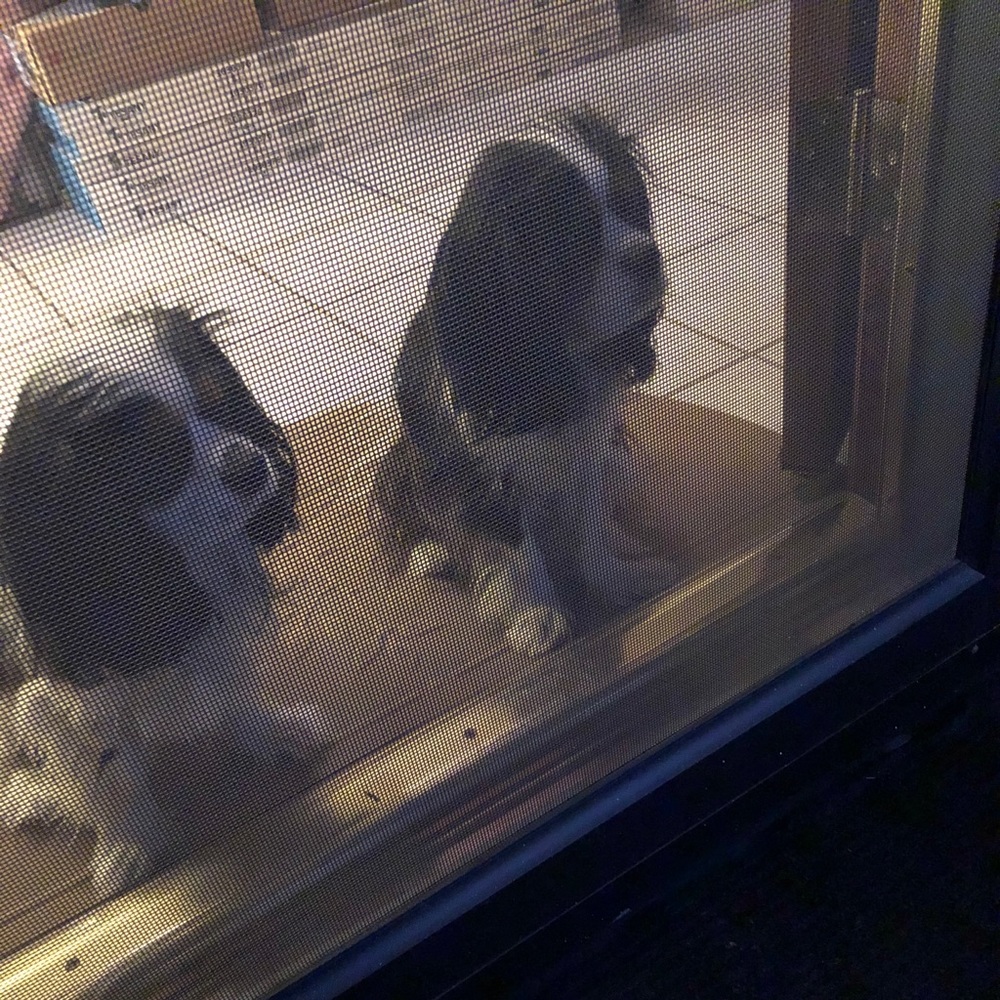 Meet your Posher, Susan adelle